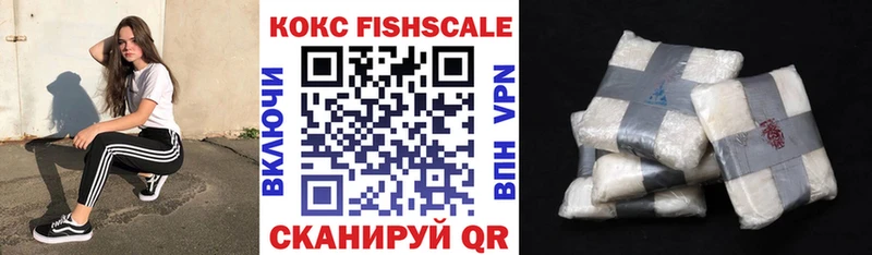 Кокаин Fish Scale  Купить где  Харовск 