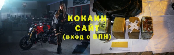 стафф Алзамай